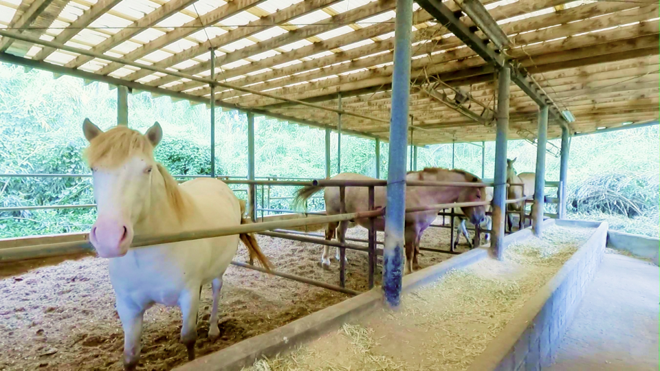 主な事業のイメージ