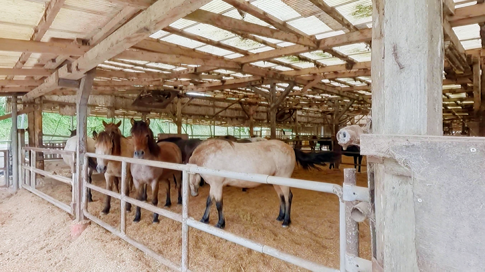 主な事業のイメージ