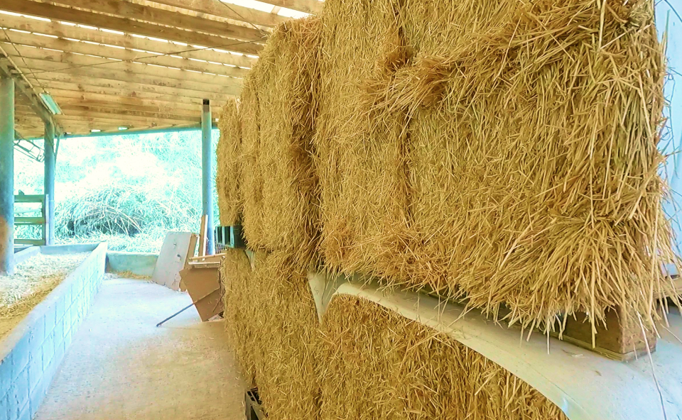 こだわりのイメージ